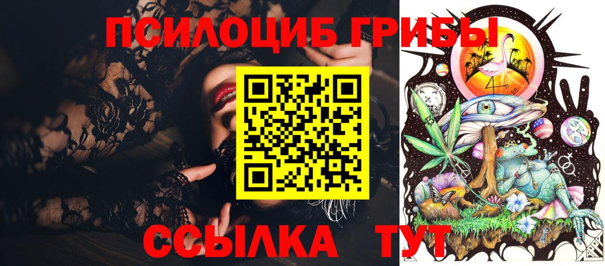 Псилоцибиновые грибы Psilocybe Касимов